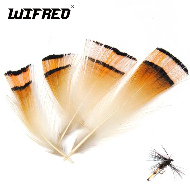 Fishing Equipment Brands - 50 adet doğal renk altın sülün