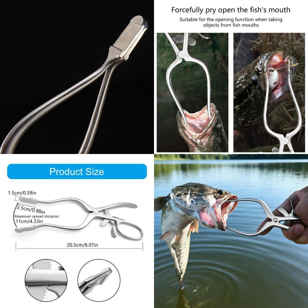 Verimli Kullanım İçin Geniş Aç - Fishing Equipment Price incelemesi ve fiyatı